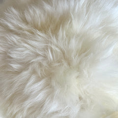 weiß-creme Schaf