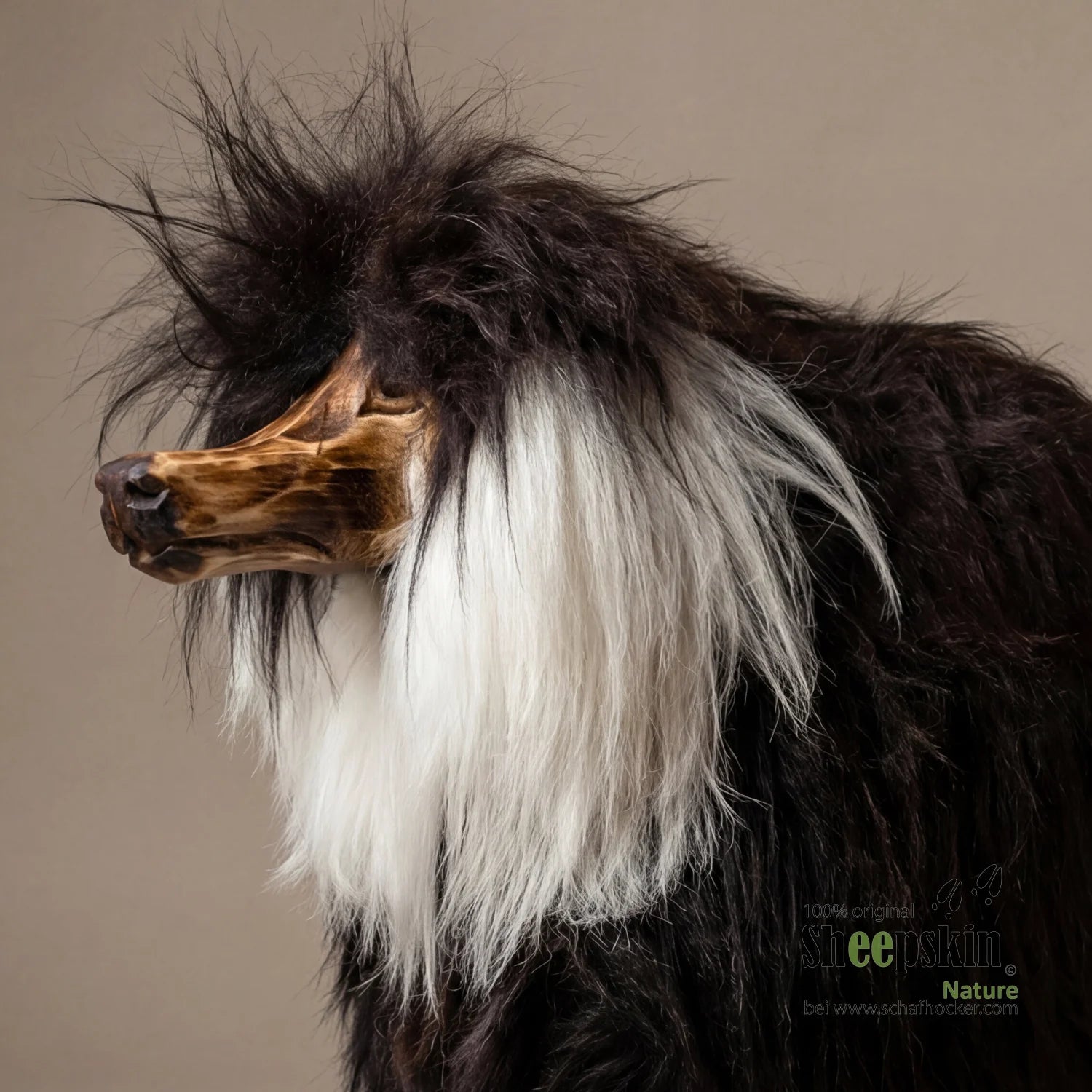 Portrait Hund Bello das Schaukelpferd schwarz - weiß Schaukel für Kinder