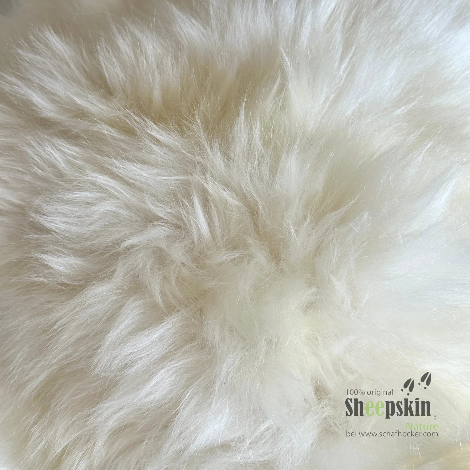 Schafhocker Paul der Bua Hocker Designer Tierhocker Widder weiß – Schafhocker Bua von Sheepskin Nature© Ansicht 4 – kaufen