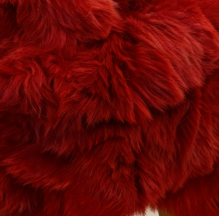 Rot