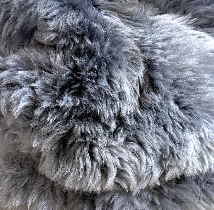 Silber