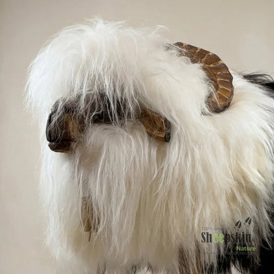 Premium Design Schafhocker Tierhocker Mufflon Seppl Island weiß schwarz – Schafhocker Mufflon von Sheepskin Nature© Ansicht 2