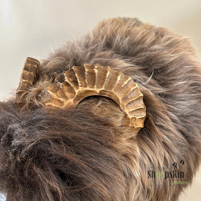 Premium Design Tierhocker ➤ Schafhocker Arthur das