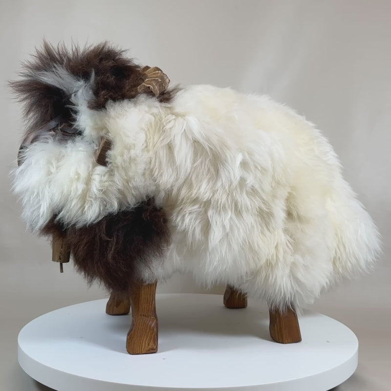Kinderhocker Einstein, zweifarbiges Schaffell braun weiß, handgeschnitzte Holzbeine, Widderhörner, drehende 360 Grad Produktansicht, flauschige Oberfläche, Designer Tierhocker für Kinder, österreichische Handarbeit, echtes Schaffell, Edelholz, Kinderhocker 40 cm Sitzhöhe, ca. 8 cm Polsterung, ca. 5,7 kg Gewicht, kompakte Abmessungen für Kinder, robust bis 120–130 kg belastbar, Indoor Möbel, Unikat mit Pflegebürste im Lieferumfang, Lieferung aus Österreich, Detailaufnahme Hörner und Fellstruktur