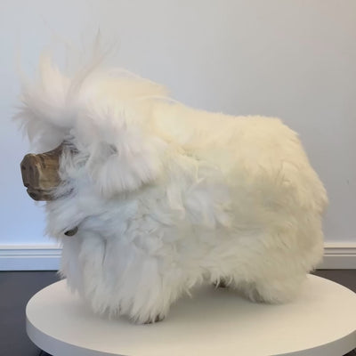 Premium Design Tierhocker Kinderhocker »Piggy« das süße Wollschwein" weiß