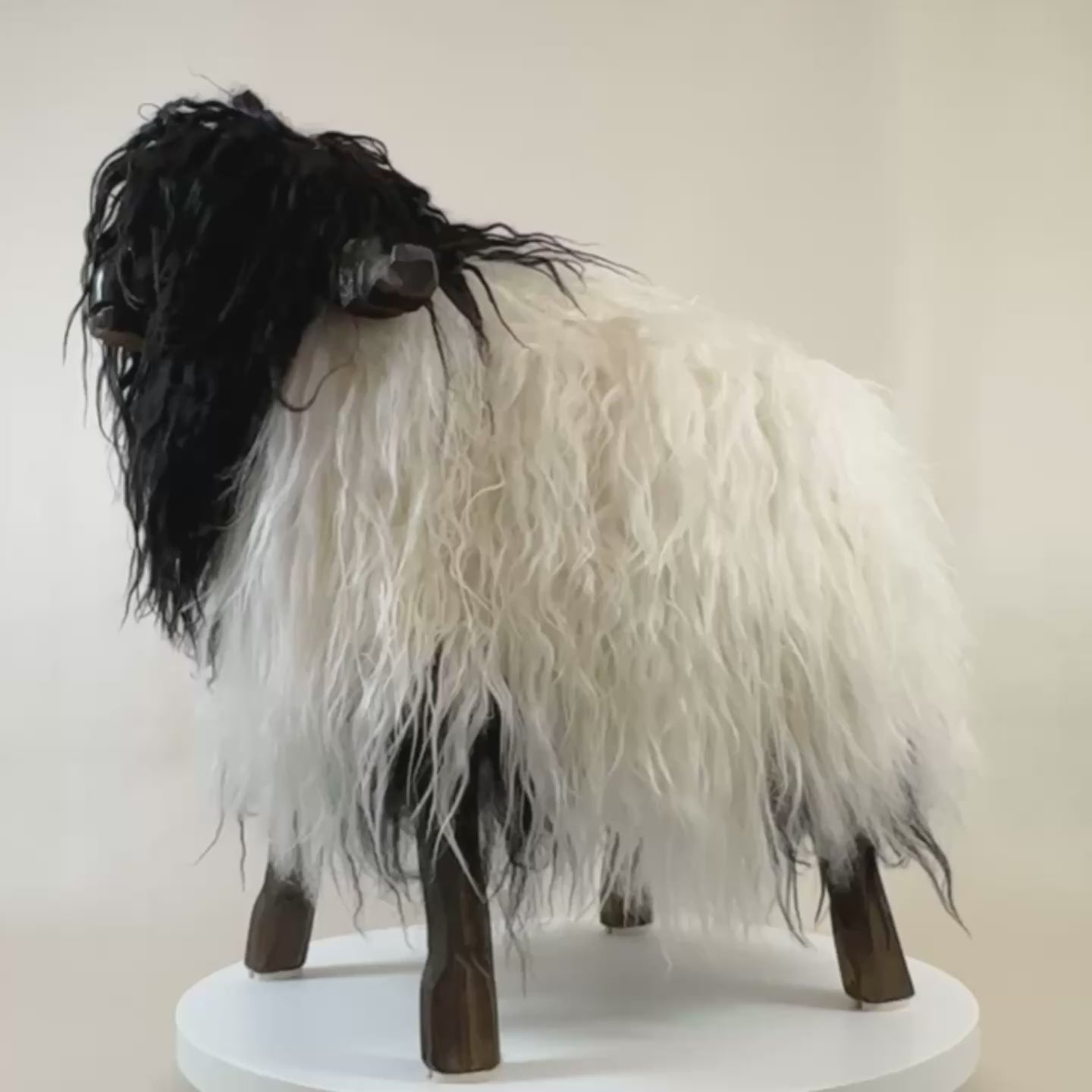 Load video: Premium design sheep stool "Michl" the Valais black-nosed sheep ram