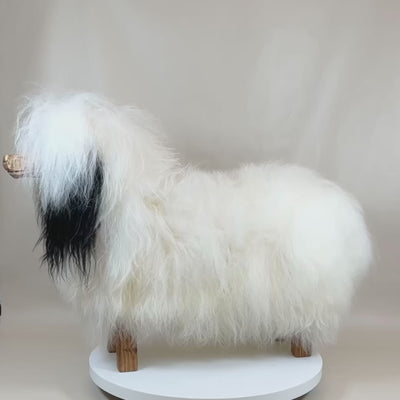 Video Tierhocker Hund »Bello« Islandfell weiß Hocker Fellbank Tiermöbel Design