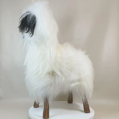 Video Schafhocker Alpaka Ötzi »Stella« Designer Tierhocker weiß Tiermöbel Design Schaffell Hocker