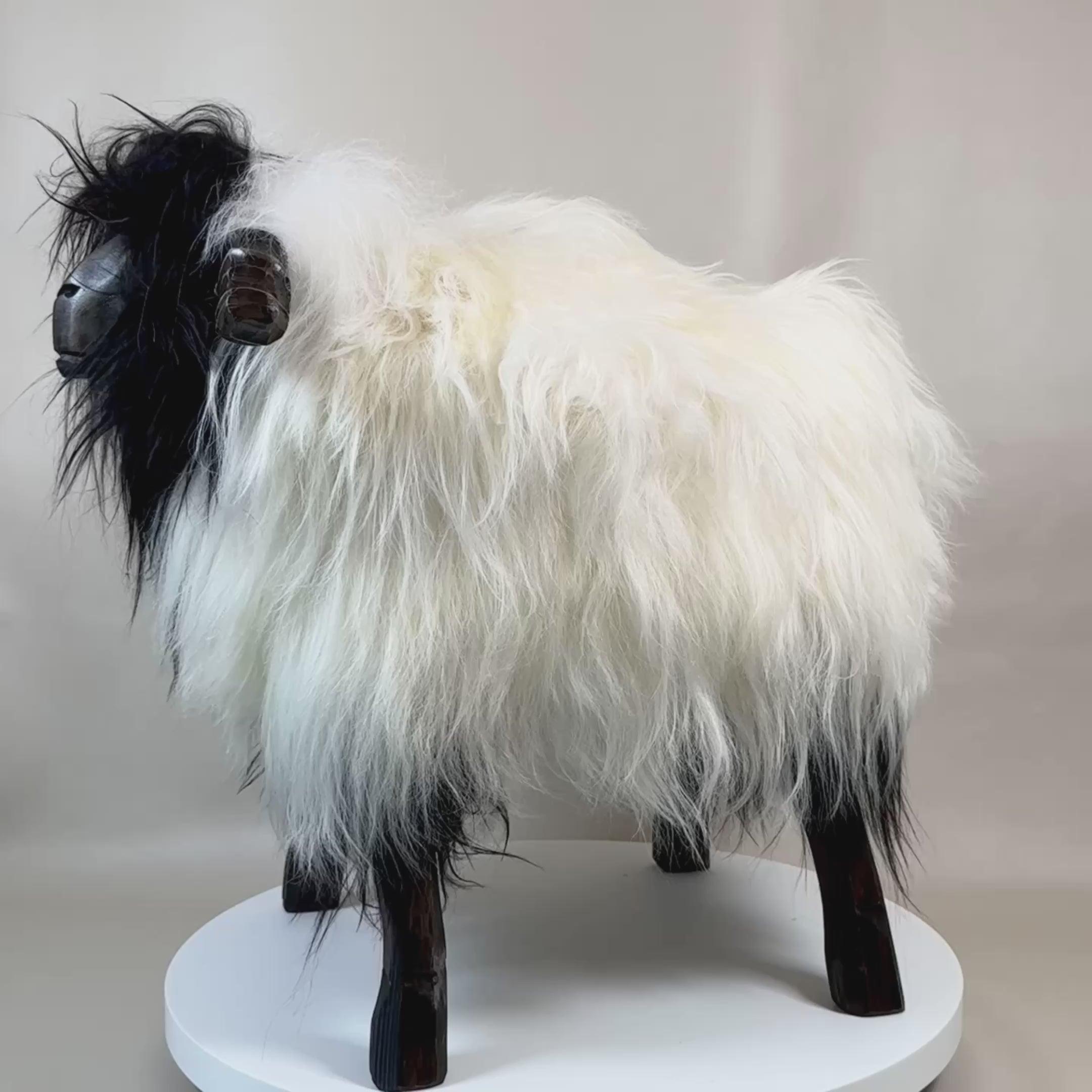 Video laden: Premium Schafhocker  »Jolo« das Walliser Schwarznasenschaf