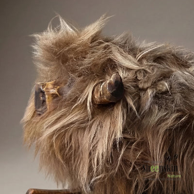 Schafhocker Filo: Handgefertigte Schaffell-Tierhocker aus der Alpen-Manufaktur – Schaukelschaf von Sheepskin Nature© Ansicht 